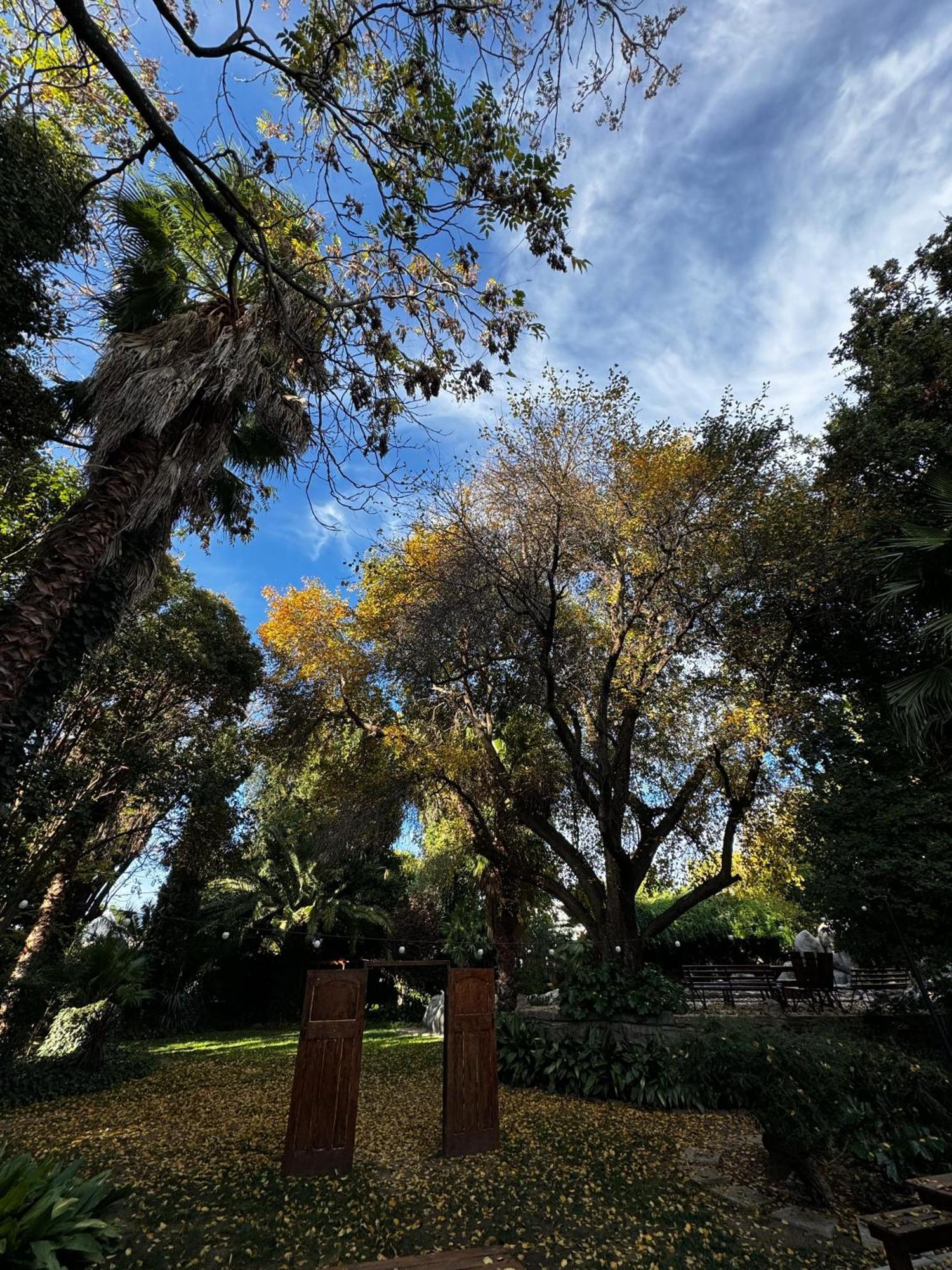 The Palms Venue & Accommodation Cradock Extérieur photo